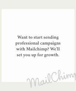 Mailchimp Setup Service